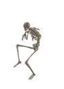 bone of human 