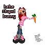 dumb ass bunny