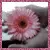 flower glitter