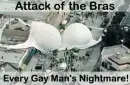 Attack of the bras