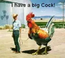 BIG COCK