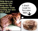 Help Stop Animal Abuse!