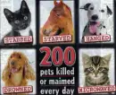 Help Stop Animal Abuse!