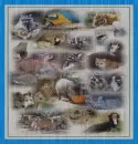 animals