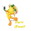 You're Tweet Tweety Bird