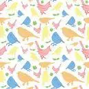 birds