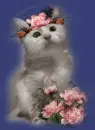 cat flowers