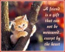 A friend - friendship