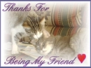 Thanks for being my friend