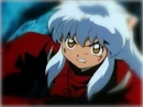 baby inuyasha