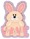 vane's bunny