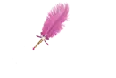 Brandy - Feather Pen Dark Pink