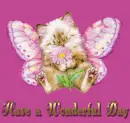Have a Wonderful Day