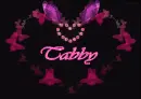 tabby