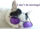 I don't do mornings!