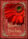 Buena Noches