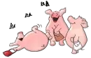 Piggies