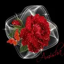 Amisha