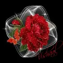 Vishaal