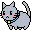 kitty cat