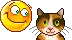smiley kitty cat hug