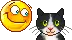 good kitty cat