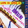 roller coaster of life