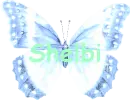 Shelbi-Butterfly 