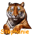 Stephanie-Tiger