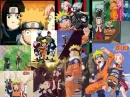 Team 7