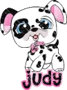 Judy
