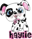 Hayie
