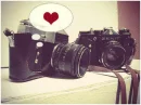 my one true love