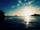Sail Away