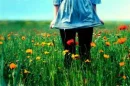 Field 