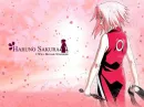 Sakura