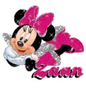 Zaan