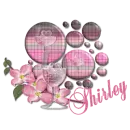 Shirley