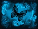BUTTERFLY--DEEP BLUE