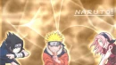Team7