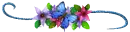 BLUE BUTTERFLY