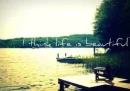i think life is beautiful