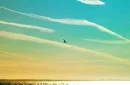 Fly Away