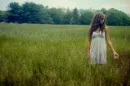 field of dreams
