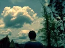I wish I could fly away.