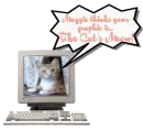 Maggie Computer Cat Graphic Compliment