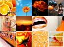 Orange Collage