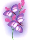 BUTTREFLY FLOWER