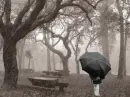 At the Park