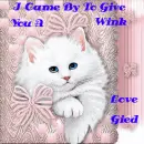GIED